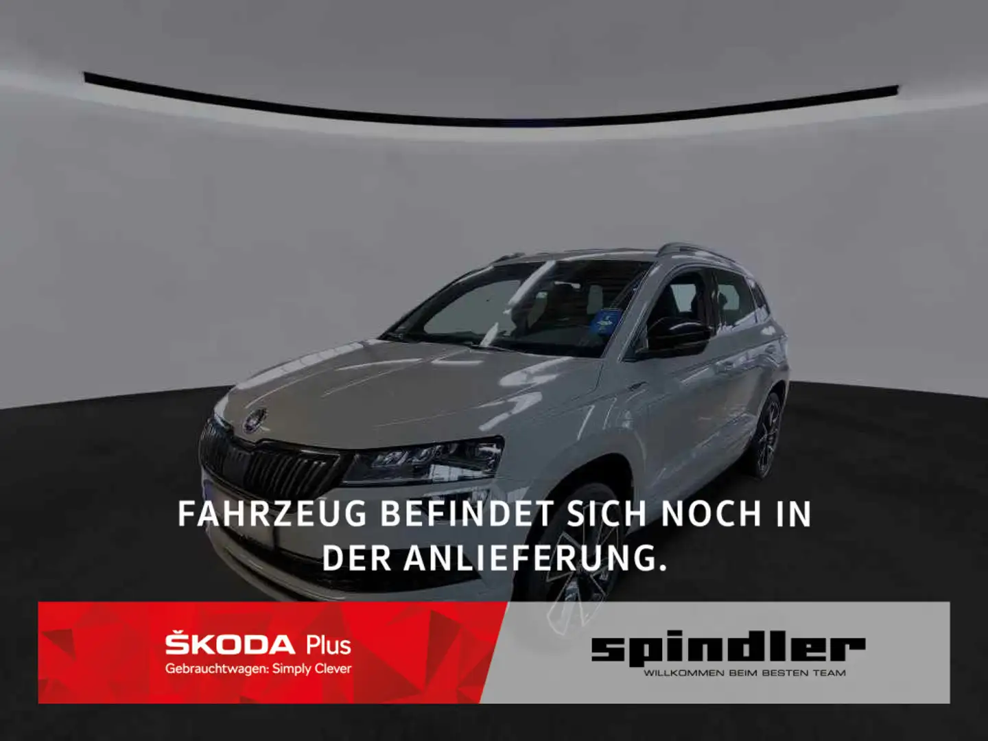 Skoda Karoq Sportline 2.0TSI 4x4 DSG / Navi, Pano, LED Grau - 1