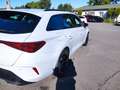 CUPRA Leon LEON SPORTSTOURER 1.5 TSI NAVI AHZV-VORBER. SHZ Blanco - thumbnail 2