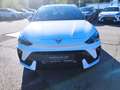 CUPRA Leon LEON SPORTSTOURER 1.5 TSI NAVI AHZV-VORBER. SHZ Blanco - thumbnail 14