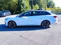 CUPRA Leon LEON SPORTSTOURER 1.5 TSI NAVI AHZV-VORBER. SHZ Blanco - thumbnail 13