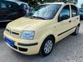 Fiat Panda 1.2 8V Dynamic*1.HD*Klima*93.TKM*TÜV NEU Gelb - thumbnail 4