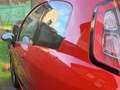 Fiat Punto Evo 1.2 MyLife 69 S&S Rojo - thumbnail 7