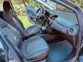 Fiat Punto 5p 1.2 Street E6 Grigio - thumbnail 8