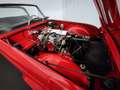 Triumph TR4 Rouge - thumbnail 50