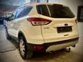 Ford Kuga Trend Weiß - thumbnail 6