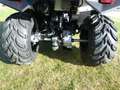 Kymco MXU 300 MXU 300 i T OFF-Road LOF [sofort verfügbar] Blanco - thumbnail 9