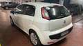 Fiat Punto Evo 5p 1.4 Active Gpl 150th anniversary - thumbnail 4