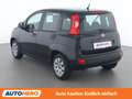 Fiat Panda 1.2 Pop Schwarz - thumbnail 4