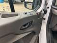 Ford Transit 350 L2H2 Lkw VA Trend Blanc - thumbnail 13