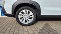Suzuki SX4 S-Cross ss Edition Hybrid White - thumbnail 10
