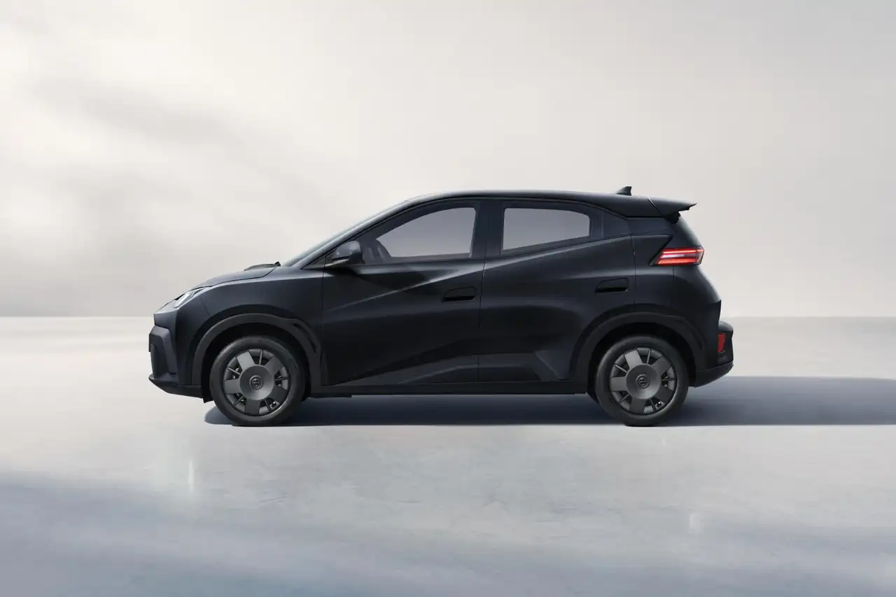 BYD DOLPHIN SURF