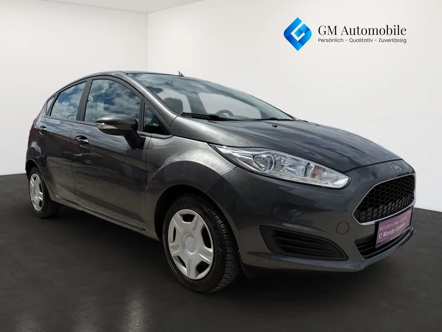 Ford Fiesta Trend Econetic 1,5 TDCi Start/Stop Trend Grau - 2
