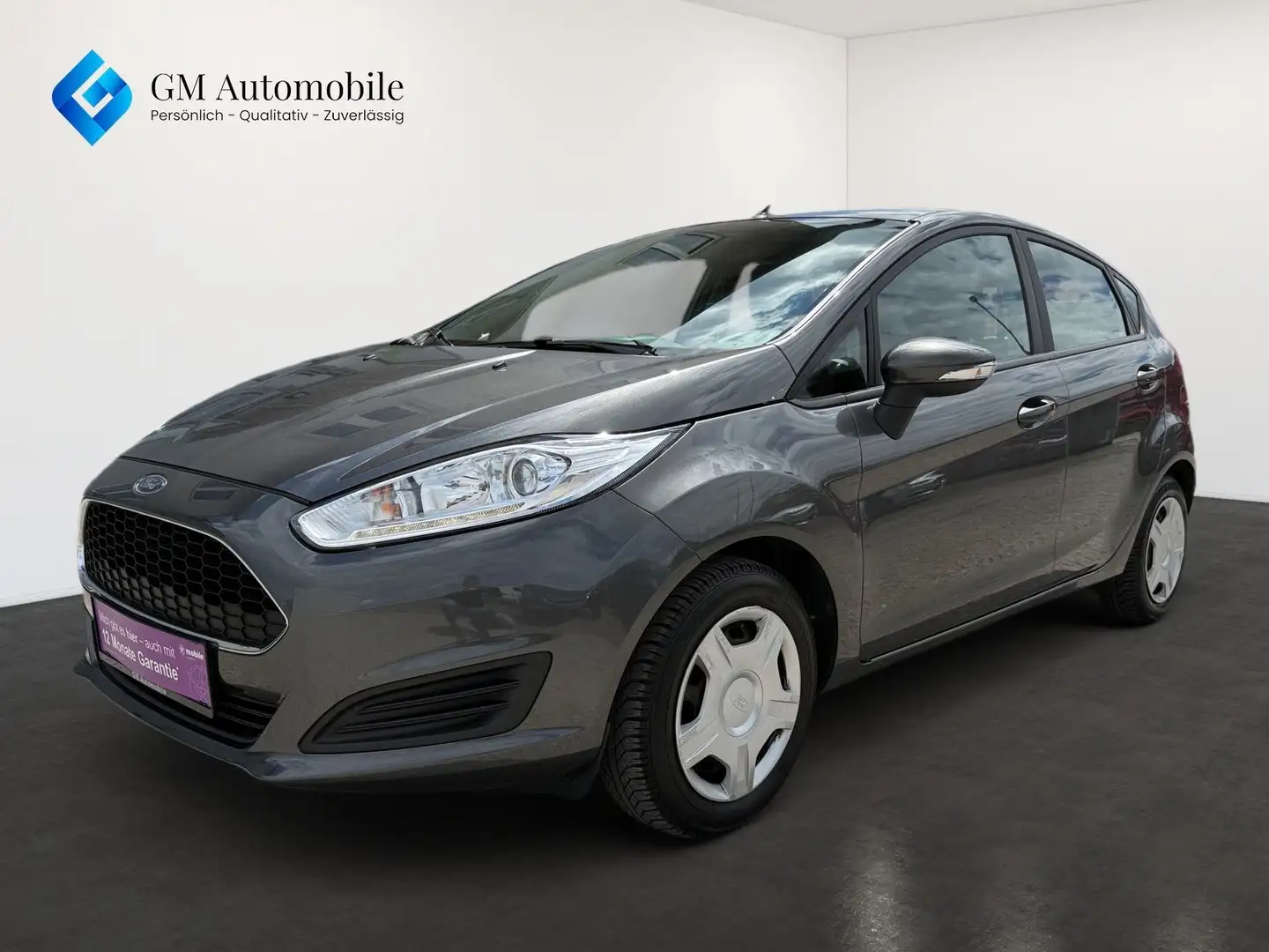Ford Fiesta Trend Econetic 1,5 TDCi Start/Stop Trend Grau - 1