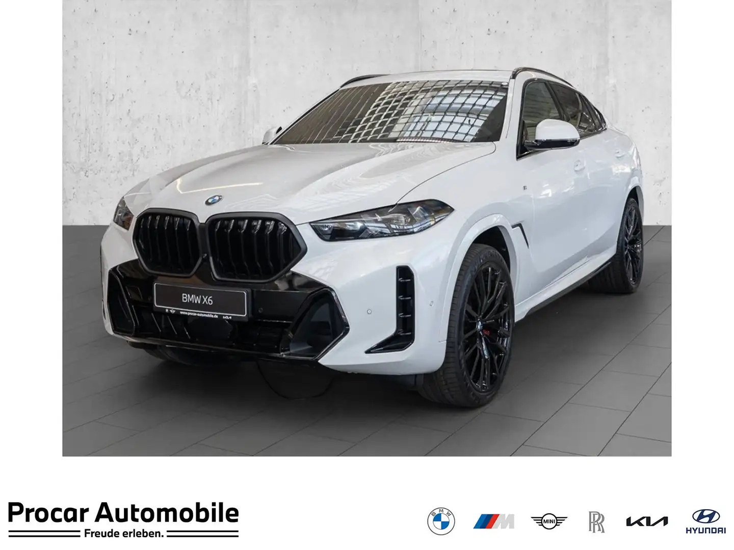 BMW X6 xDrive40d MSportPro PANO AHK H/K PAProf LED Weiß - 1