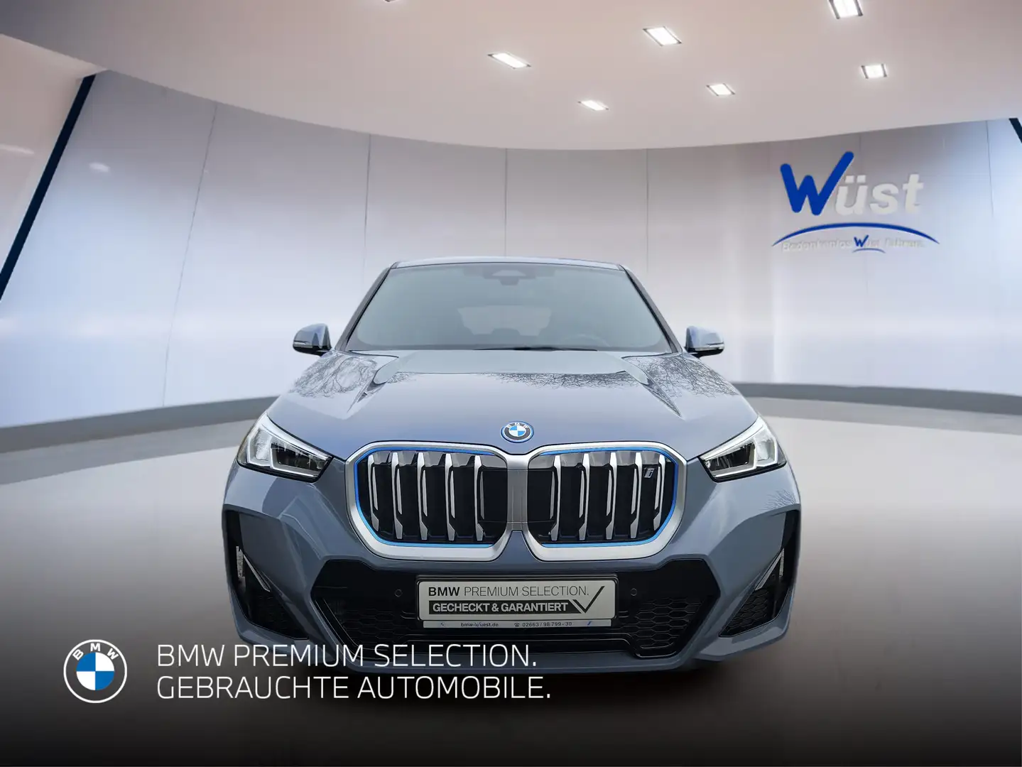 BMW iX1 xDrive30 1.HAND | M-PAKET | LENKRADHEIZUNG Grau - 2