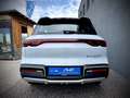 BYD Atto 2 BYD Atto 2 Boost 177PS Aut. GEWERBE AKTION Weiß - thumbnail 15