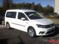 Volkswagen Caddy MAXI UNIPROPRIETARIO 7 POSTI PARI AL NUOVO! Bianco - thumbnail 2