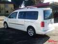 Volkswagen Caddy MAXI UNIPROPRIETARIO 7 POSTI PARI AL NUOVO! Bianco - thumbnail 4