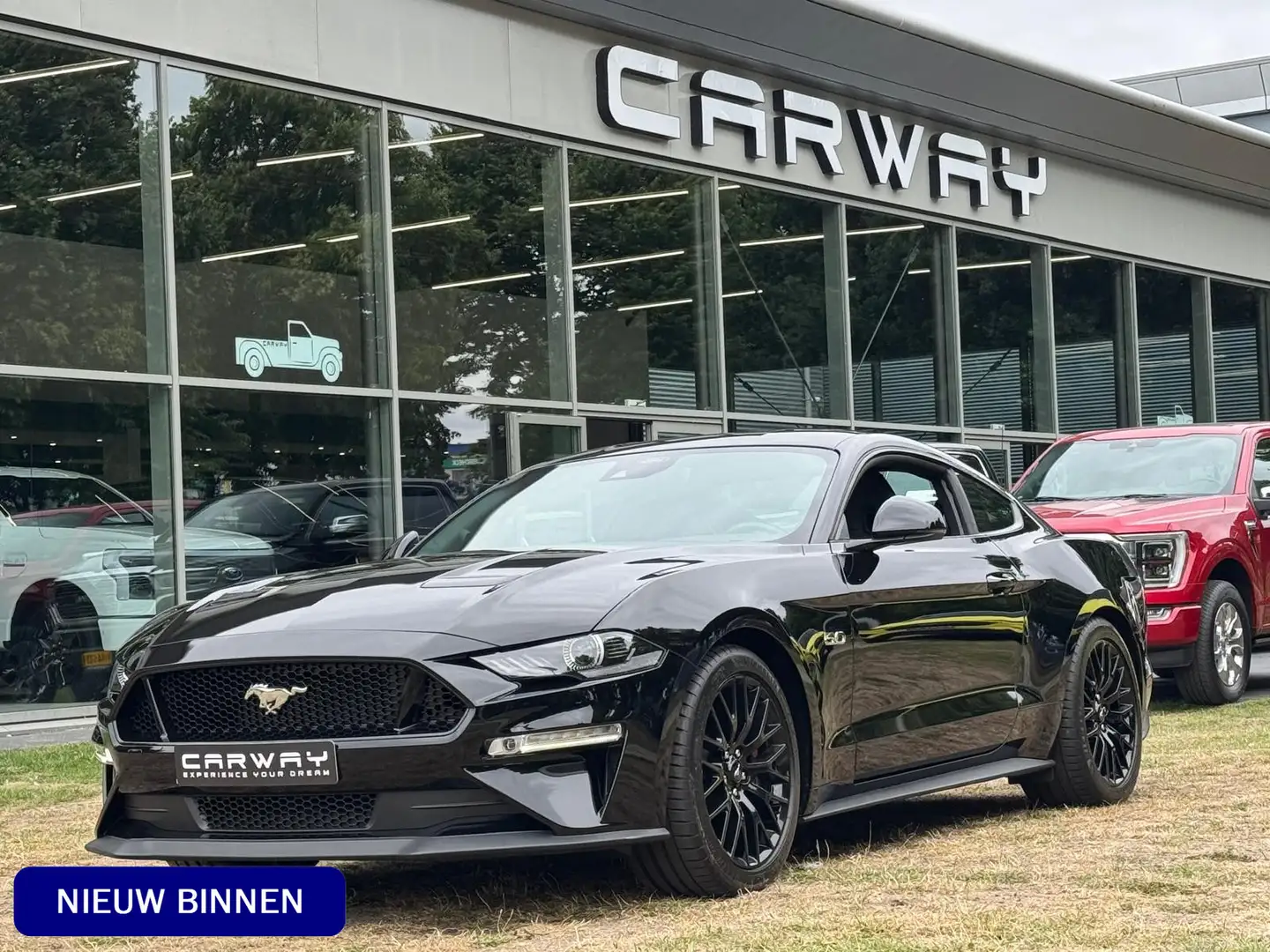 Ford Mustang 5.0 V8 GT Recaro, Magneride, Performance pkg EU-AU Zwart - 1