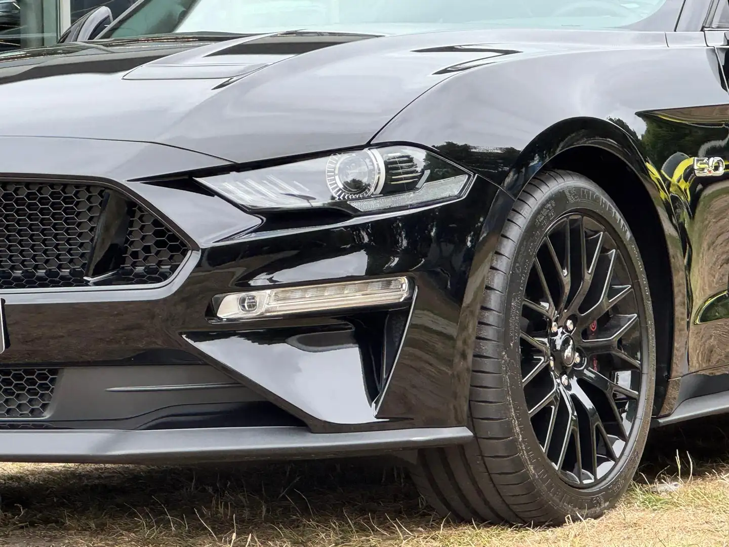 Ford Mustang 5.0 V8 GT Recaro, Magneride, Performance pkg EU-AU Zwart - 2