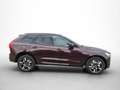 Volvo XC60 Dark Plus, B5 AWD Mild-Hybrid, Benzin Rouge - thumbnail 6