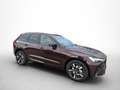 Volvo XC60 Dark Plus, B5 AWD Mild-Hybrid, Benzin Rouge - thumbnail 5