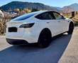 Tesla Model Y Model Y Long Range AWD 75kWh Weiß - thumbnail 1