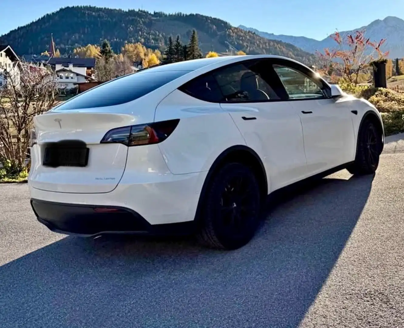 Tesla Model Y Model Y Long Range AWD 75kWh Weiß - 1