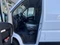 Fiat Ducato 30 2.3 MultiJet L2H1 AIRCO TREKHAAK EURO 6 Blanc - thumbnail 16