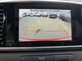 Kia Sportage 1.6 CRDi 100kW (136CV) Business 4x2 Rojo - thumbnail 16