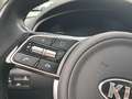 Kia Sportage 1.6 CRDi 100kW (136CV) Business 4x2 Rojo - thumbnail 12
