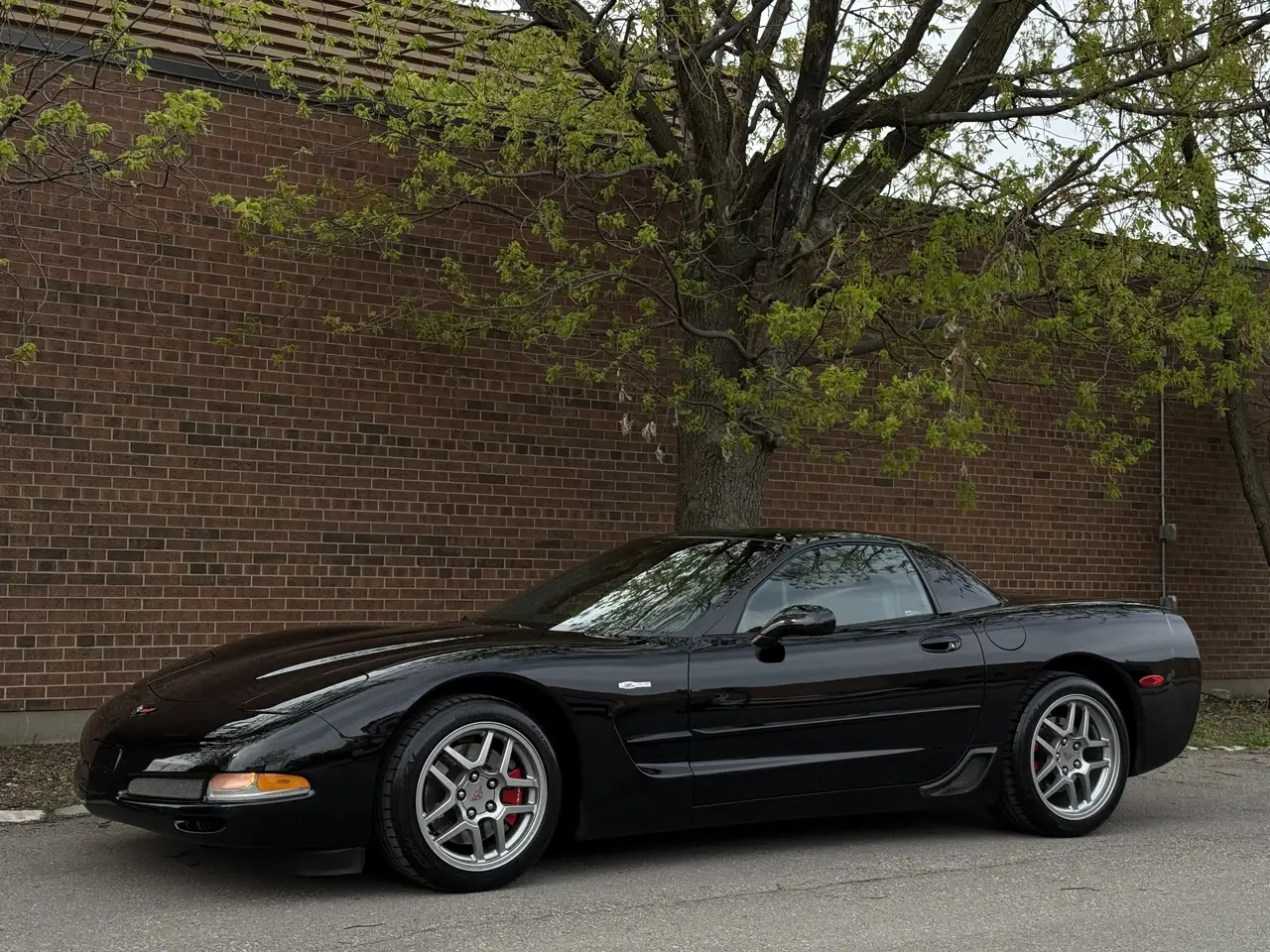 Chevrolet Corvette fotografie Chevrolet Corvette