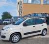 Fiat Panda 1,2 easy km 48.000 neopatentati colore beige Beige - thumbnail 1