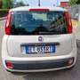 Fiat Panda 1,2 easy km 48.000 neopatentati colore beige Beige - thumbnail 5