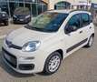 Fiat Panda 1,2 easy km 48.000 neopatentati colore beige Beige - thumbnail 10
