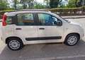Fiat Panda 1,2 easy km 48.000 neopatentati colore beige Beige - thumbnail 7