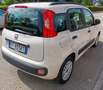 Fiat Panda 1,2 easy km 48.000 neopatentati colore beige Beige - thumbnail 6