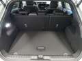 Ford Puma 1.0 EcoBoost MHEV ST-Line Aut. 125 Gris - thumbnail 20
