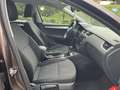 Skoda Octavia Octavia SW 1.6 TDi DSG/NAVI/AIRCO Bruin - thumbnail 6