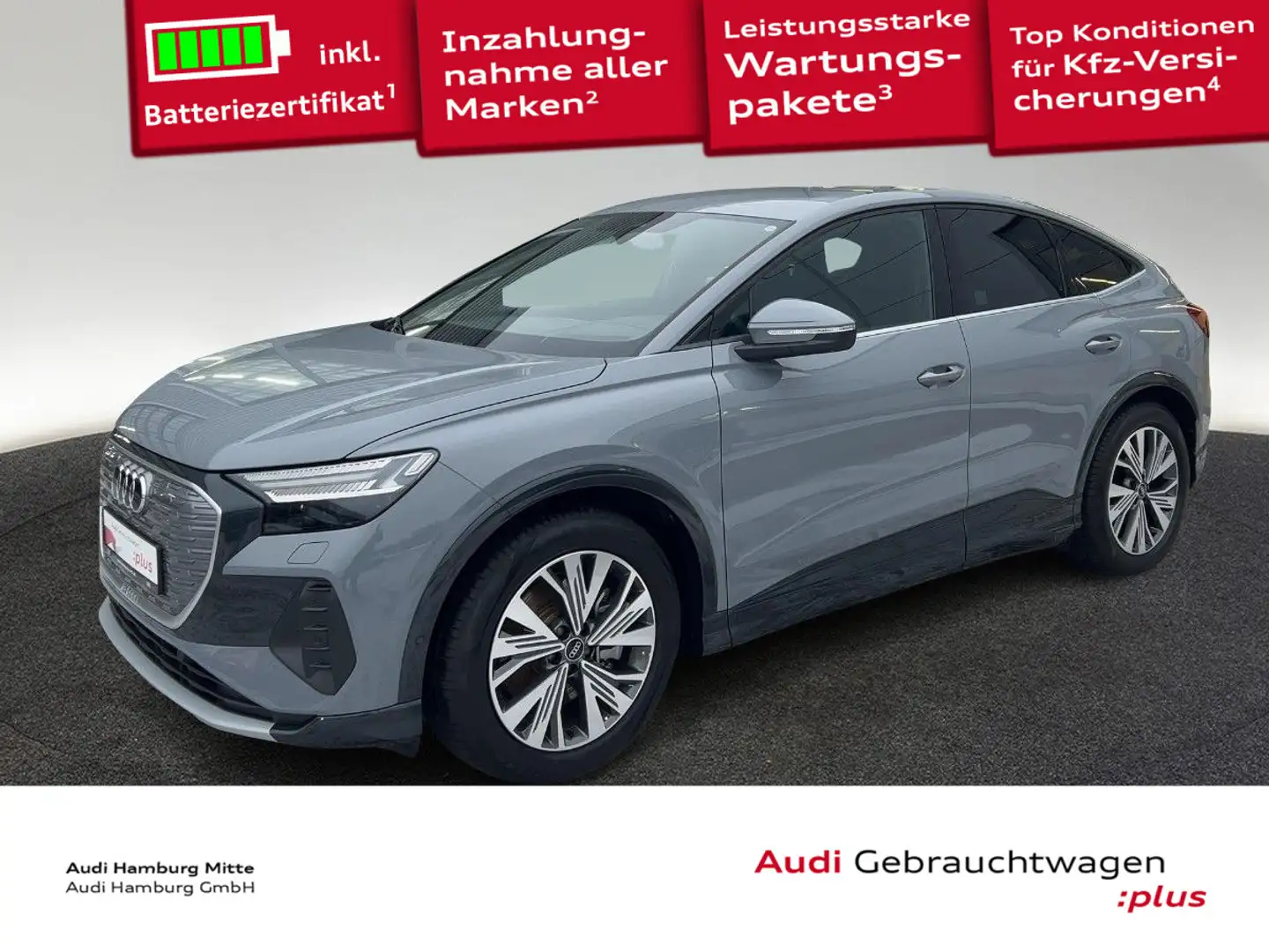 Audi Q4 e-tron 45 210 kW S line Matrix Navi Grau - 1