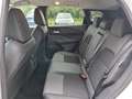 Nissan Qashqai 1,3 MHEV 4x4 N-Connecta+ Xtronic !Modell2025! *... Weiß - thumbnail 12