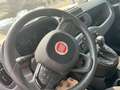 Fiat New Panda Panda 1.0 FireFly S&S Hybrid Bleu - thumbnail 19
