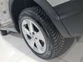 Nissan Qashqai 1.5dCi 115CV Business Grigio - thumbnail 8