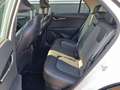 Kia Niro 1.6 GDi Hybrid DynamicLine Navigatie, Trekhaak, Pa Blanc - thumbnail 11