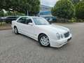 Mercedes-Benz E 200 CDI CLASSIC-136Tkm-TÜV NEU-TOP ZUSTAND Blanc - thumbnail 5
