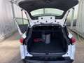 Renault Clio Neues ÖAMTC Pickerl - thumbnail 8