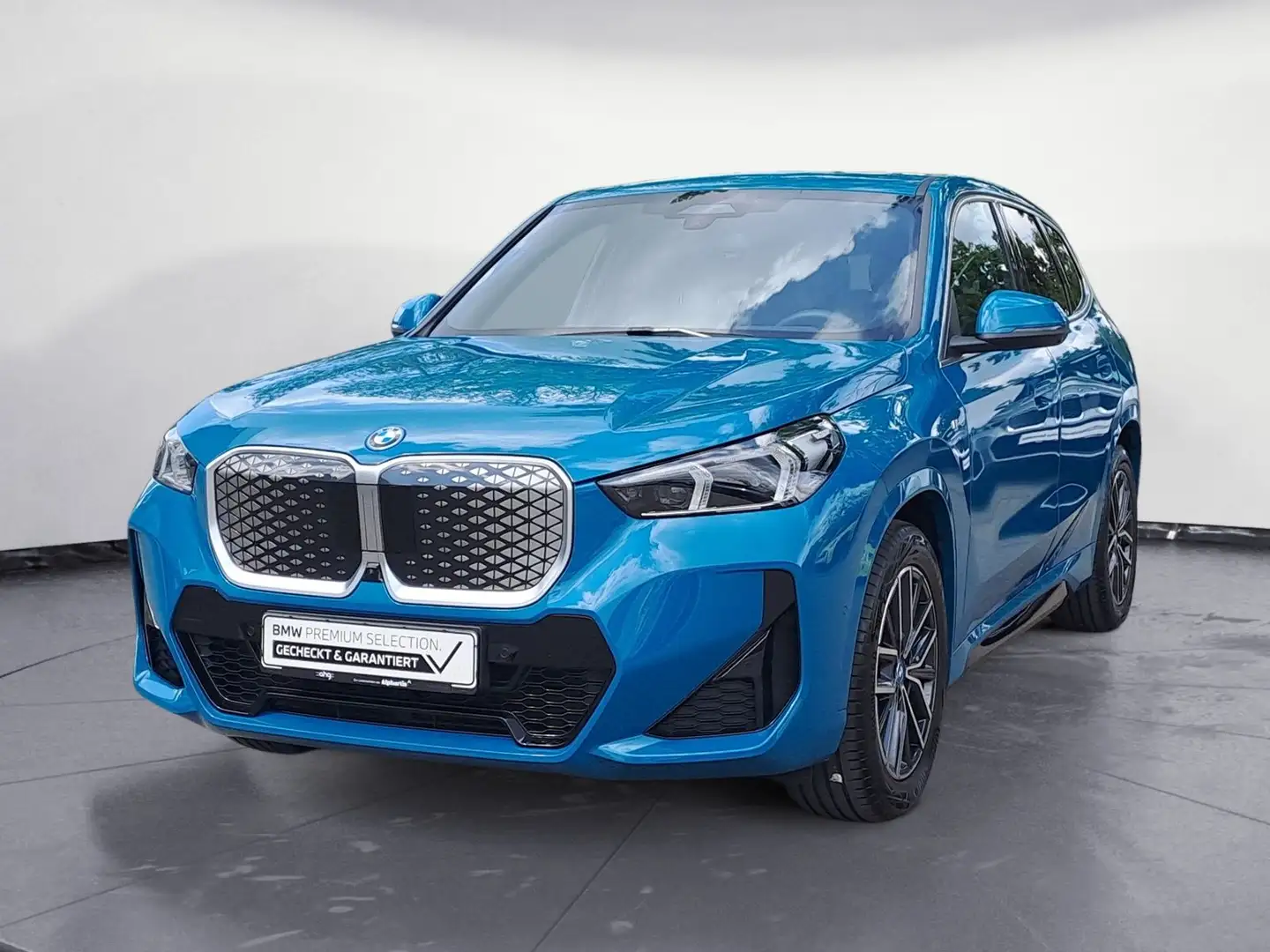 BMW iX1 xDrive30 M Sport | Panorama | | AHK GARANTIE Blau - 2