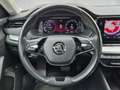 Skoda Octavia Cómbi 2,0 TDI Premium DSG *LED*AHK*SHZ*NAVI* Grau - thumbnail 10