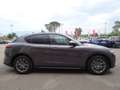Alfa Romeo Stelvio Stelvio 2.2 t Business Q4 190cv auto Unipro Gris - thumbnail 4