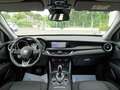 Alfa Romeo Stelvio Stelvio 2.2 t Business Q4 190cv auto Unipro Gris - thumbnail 13